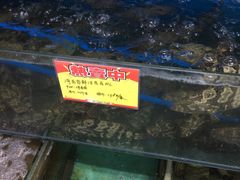 -蚝专家(北滘店)