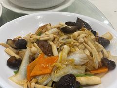 -姚林轩