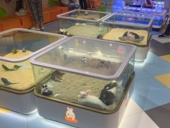 点击看大图 -meland亲子乐园•派对•研学(苏州悠方购物中心店)