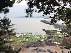 -青岛第二海水浴场