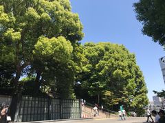 -秋叶原电器街