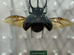 -国家自然博物馆