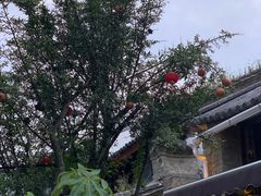 -尽善百年古院餐厅(王家老宅店)