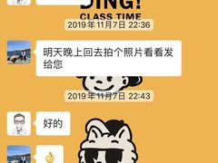 -喜多萌中农锦绣动物医院24H·猫科·牙科MRI·CT