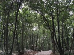 -陶祖圣境风景区