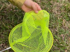 -光明小镇欢乐田园