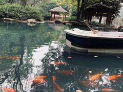 -兰溪地下长河