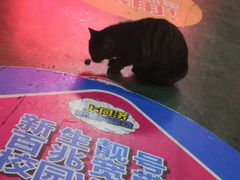 -必胜客(嘉兴万达店)