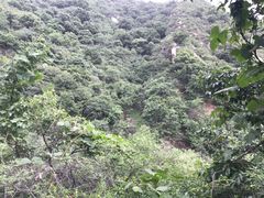 -北京水岸山吧度假村(雁栖镇店)