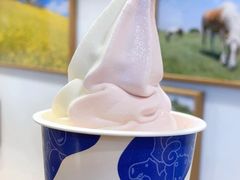 -三井奥特莱斯购物城(木更津店)