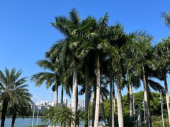 -南宁南湖公园