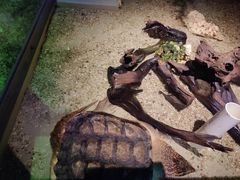 -沈阳海洋探索中心