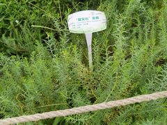-北京植物园南门售票处