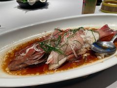 -绍兴中金豪庭大酒店·豪庭阁中餐厅