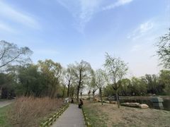 -长春市南湖公园