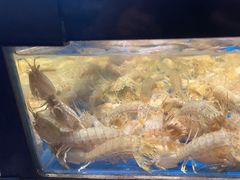 -亚马逊海鲜自助(王府井店)