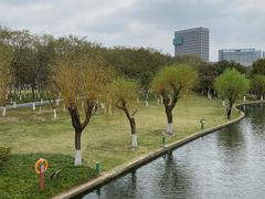 -院士公园