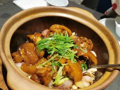 -望乡楼上海菜(日月光店)