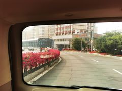 -胶州湾海底隧道