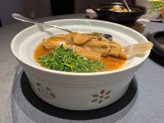 -沈灶河豚宴·河豚融合餐厅(汉中路店)