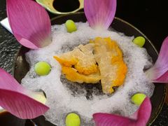 -菌自由丨野生菌火锅特色庭院餐厅(丽江古城店)