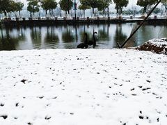 -南京医科大学(江宁校区)