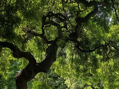 -国家植物园南园