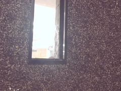-大自然会所(泉秀店)