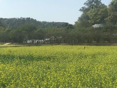 -红山村