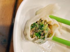 猪肉香菜-宝源饺子(麦子店街店)