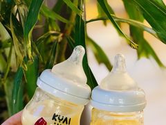 酸奶-狮拾久·现代新加坡料理(福田COCO Park店)