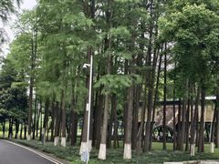 -月湖风景区