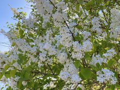 -森林公园(尖草坪区)