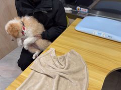 -恒幸动物医院·急重症转诊中心·神经内外科·CT核磁
