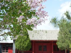 -广胜寺塔
