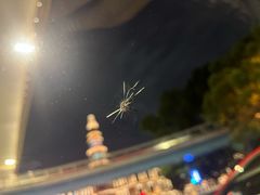 -鲨鱼皮汽车凹陷玻璃修复(静安店)