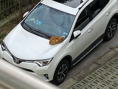 -熙盛源(苏苑街店)