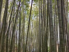 -马头山