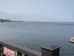 -大理洱海