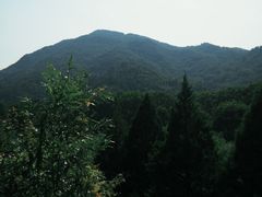 -波尔登森林公园