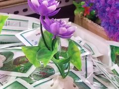 -宝鸡东道花鸟鱼虫市场(吉利花园商场店)