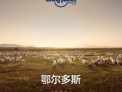 -亿利库布其七星湖沙漠生态旅游区