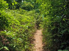 -黄埔油麻山森林公园