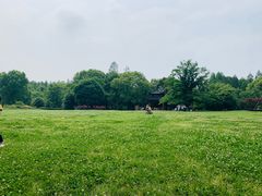 -东湖落雁景区