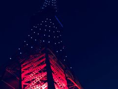 -东京塔海贼王主题公园