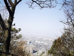 -惠山国家森林公园