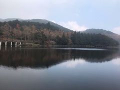 -庐山风景区花径公园