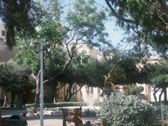 -上巴拉卡花园和下巴拉卡花园