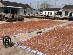 -苏州市吴中区光福窑上花果蜜饯厂