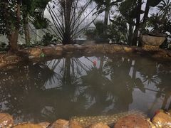 -德州凤冠假日酒店